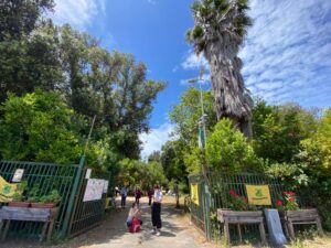 Saturday June 12th - Group Hiking Day (lago Albano/Nemi) 1