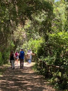 Saturday June 12th - Group Hiking Day (lago Albano/Nemi) 6