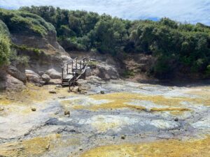 Saturday June 12th - Group Hiking Day (lago Albano/Nemi) 9