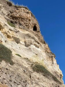 Saturday June 12th - Group Hiking Day (lago Albano/Nemi) 14