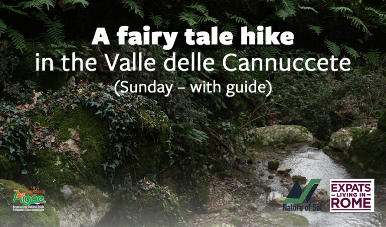 hike in the valle delle cannuccete nature of sal 1 768x451