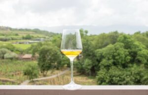 Autumn's Italian Culinary Treasures, Region by Region 11