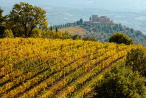 Exploring Italy's Picturesque Autumn Getaways 6