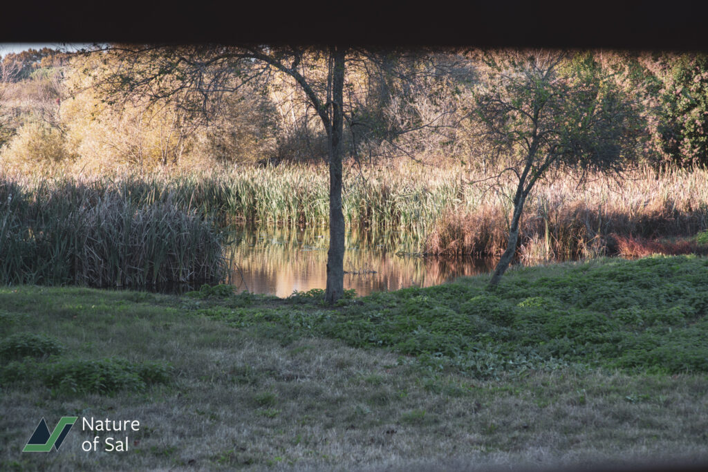 Exploring Caffarella Park: A Family-Friendly Adventure for All Ages 1