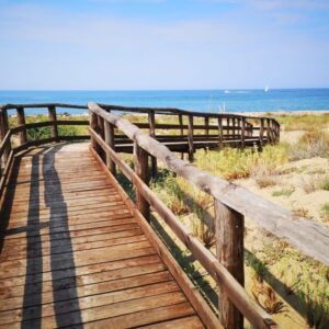 Exploring Italy’s Stunning Beaches by Train: A Guide for Expats 19