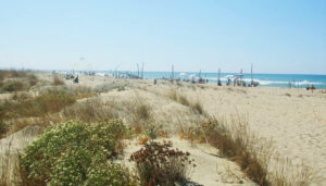 Exploring Italy’s Stunning Beaches by Train: A Guide for Expats 18