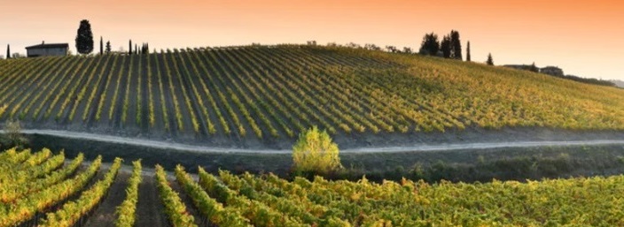 The Best Places to Visit in Italy by Train This Fall 1