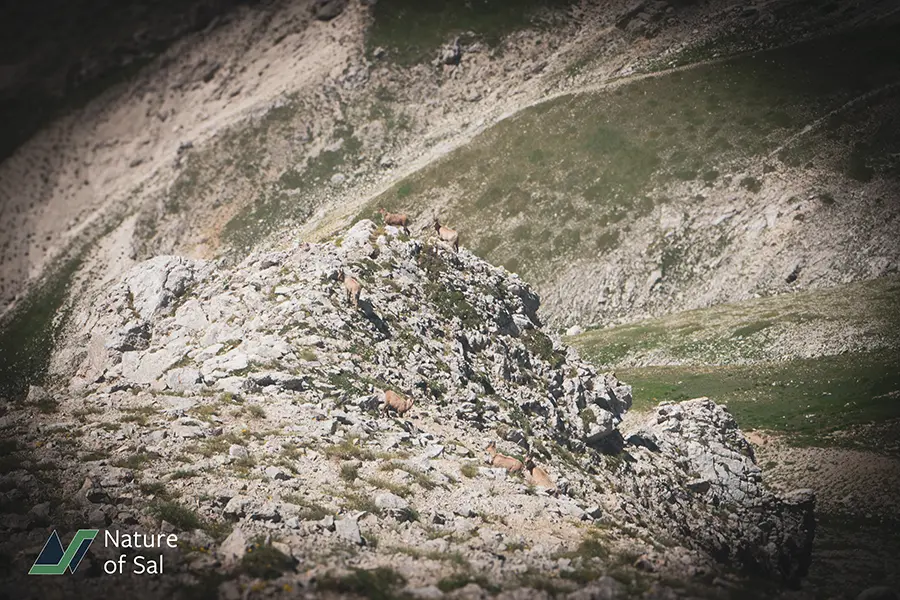 Hiking In The Abruzzo, Lazio and Molise National Park: A Fall Adventure For Expats 8