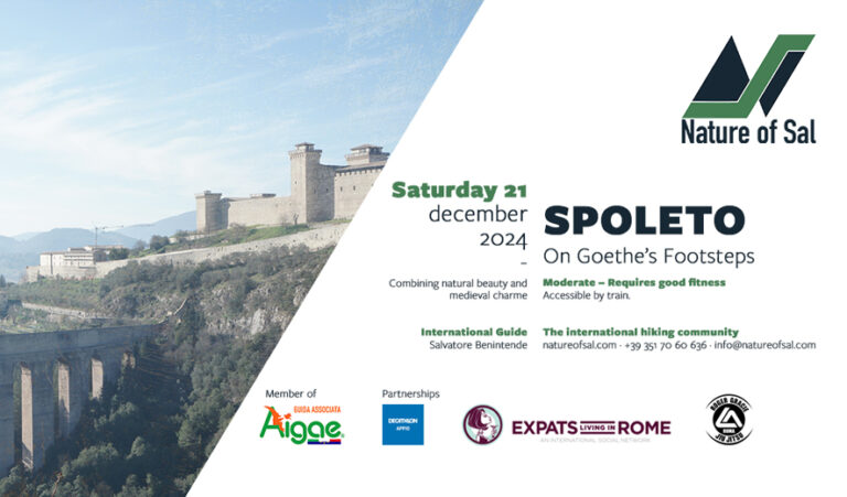 21 spoleto expats 768x451