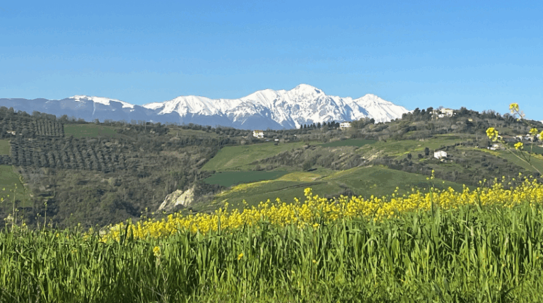 Valle del sole - Country home Rental in Atri, Abruzzo | Short & Medium Stays 16 3 Vineyard Rental in Valle del Sole Abruzzo expatslivinginrome.com 768x429