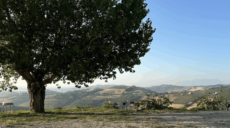 Valle del sole - Country home Rental in Atri, Abruzzo | Short & Medium Stays 19 6 Vineyard Rental in Valle del Sole Abruzzo expatslivinginrome.com 768x429