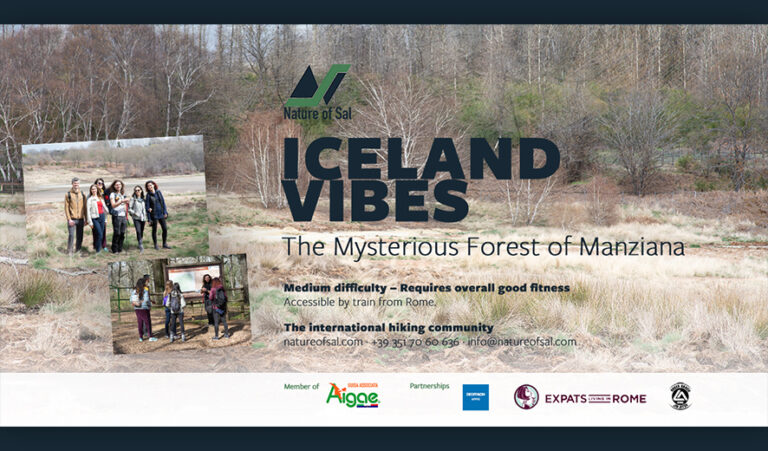 393185 banner expats 768x451