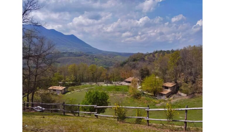 April 23rd - 26th | Infinity Retreat in Rome's country side with Umar's Therapy 4 5 1 768x451