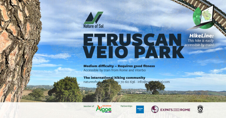 605000 banner default 768x402