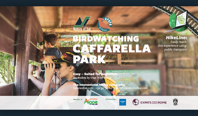 691103 banner expats 768x451