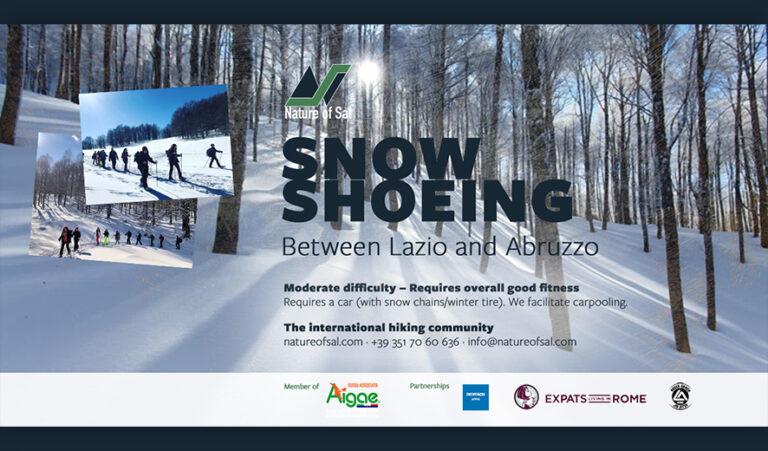 Pages 67 435227 banner expats 1 768x451