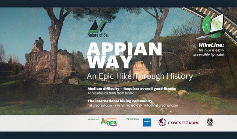 393190 banner expats 768x451