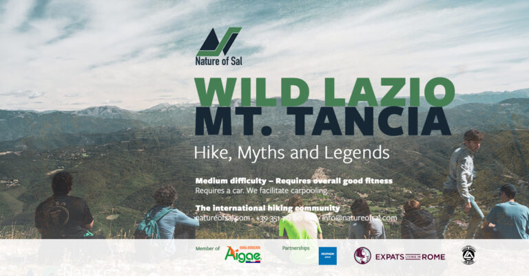 454155 banner default 768x402