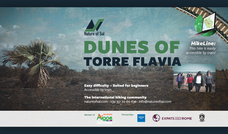 537320 banner expats 768x451