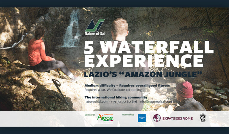 565514 banner expats 768x451