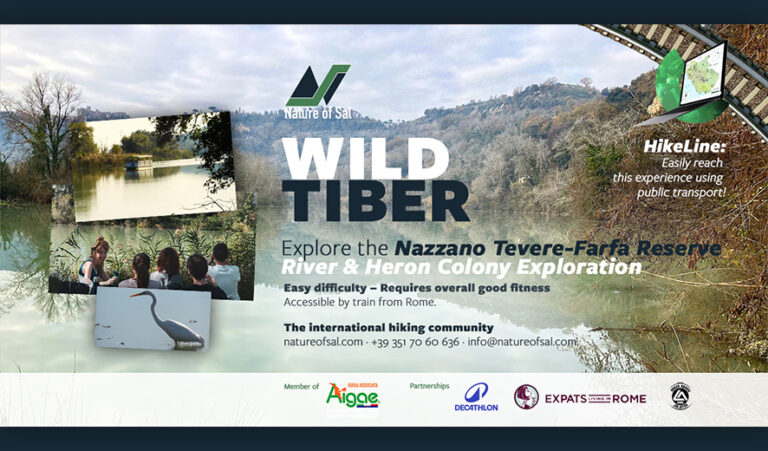 699565 banner expats 768x451