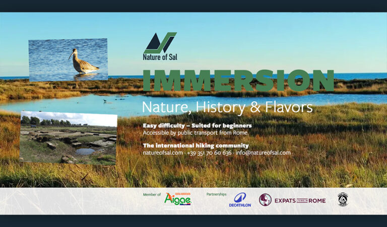 704240 banner expats 768x451