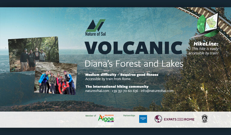 393187 banner expats 768x451