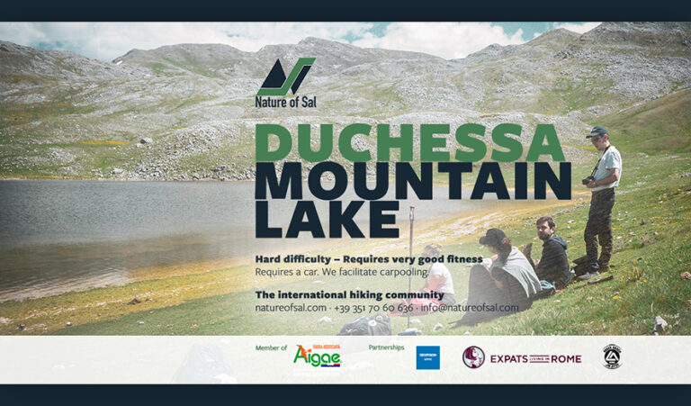 461829 banner expats 768x451