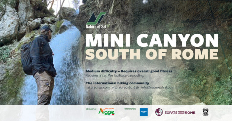 475691 banner default 768x402