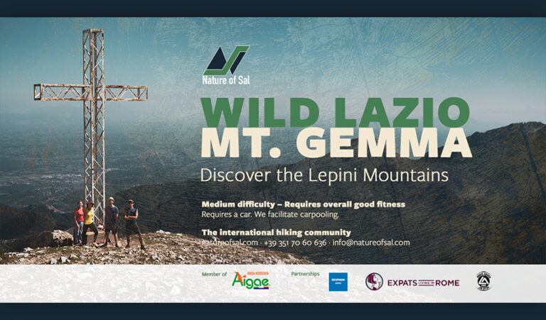 490575 banner expats 768x451