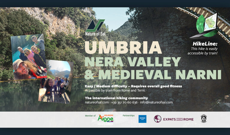 494874 banner expats 768x451