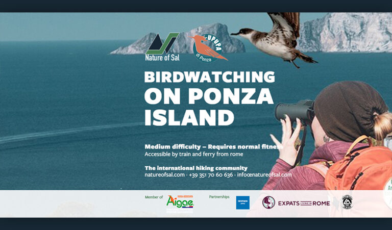 623154 banner expats 768x451